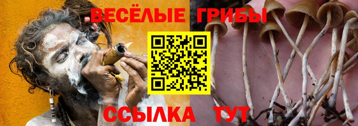 Кудымкар  Псилоцибиновые грибы GOLDEN TEACHER  Псилоцибиновые грибы Psilocybe  Вход с VPN 